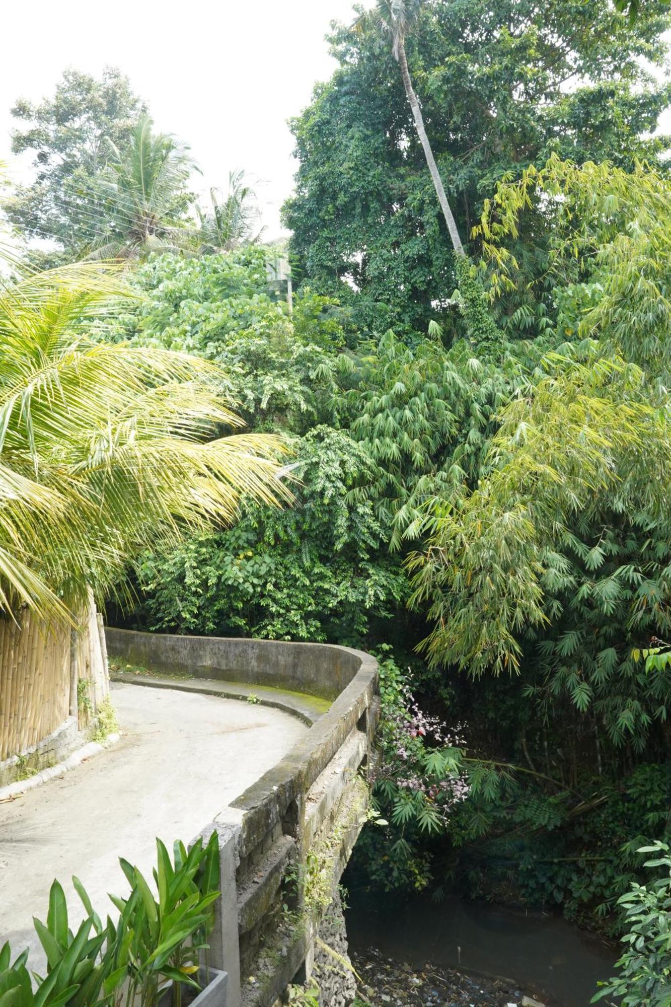 Central House Ubud Esterno foto