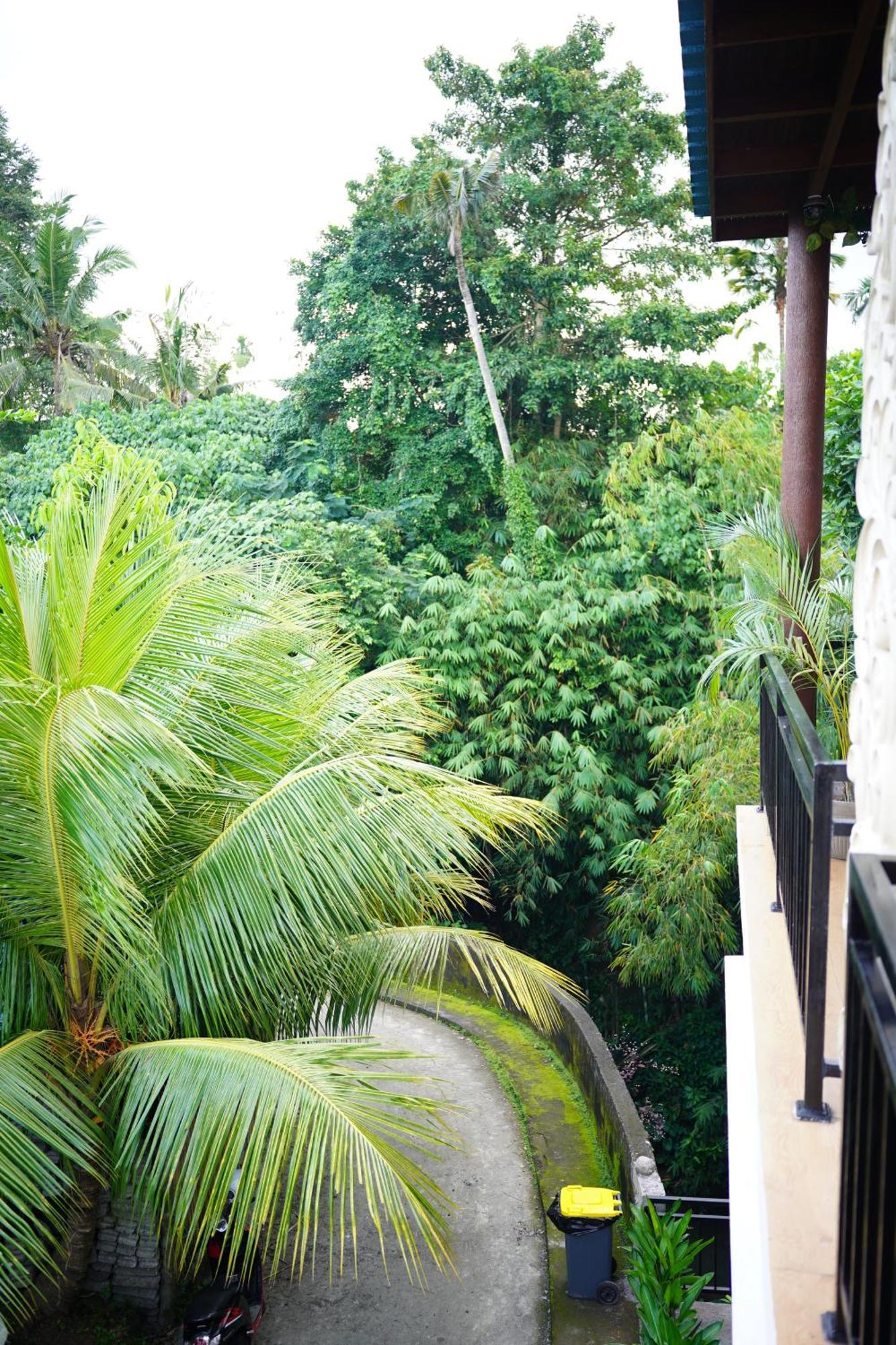 Central House Ubud Esterno foto